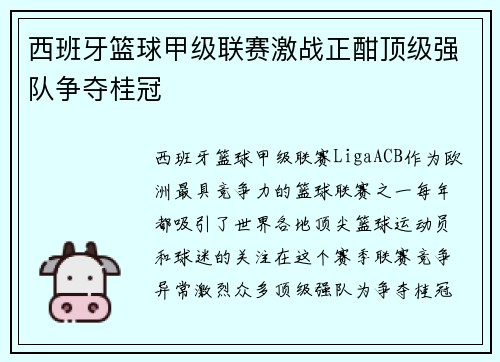 西班牙篮球甲级联赛激战正酣顶级强队争夺桂冠